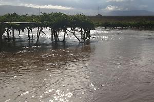 Alluvione Taranto: 6 vonis, 21 pembebasan di putusan tingkat…
