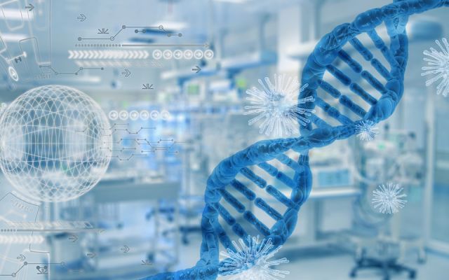 Potensi Zat Humik sebagai Terapi Alami Antiviral